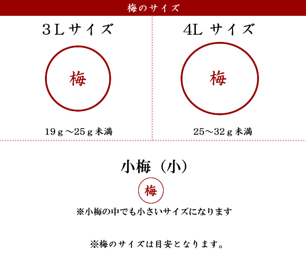 ▲大人買い梅干,梅干し一年分,樽梅,無添加梅干し,南高梅干通販専門店- 深見梅店 -